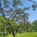 진평왕릉 화장실 이미지