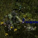 여우밤 이미지