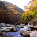 가야산로 이미지