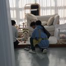 베이비스튜디오픽시스튜디오 | [내돈내산]픽시스튜디오 돌사진 촬영 후기