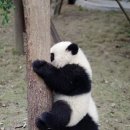 (주)모모 이미지