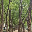 상계근린공원 이미지