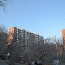 부동산플러스한국공인중개사사무소 이미지