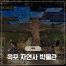 목포자연사문화박물관 | 시간 여행을 떠나는 곳, 목포자연사박물관 방문기! (입장료/주차/볼거리 완벽 정리)