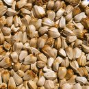 한복&규방공예 이미지