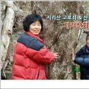 지리산화개깊은골 이미지