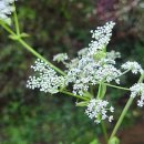 상형농장 이미지