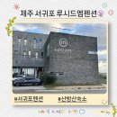 산방산에 펜션 | 제주 산방산펜션 305호 후기 “루시드엠 펜션” 조식 무료제공
