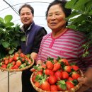 이기석농장 이미지