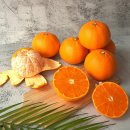 더조은농장 이미지