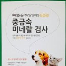반려동물