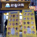 와플대학분당서현로데오캠퍼스