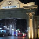 멍멍택시1 이미지