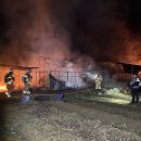 대원농장1 이미지