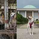 손의개농장 이미지