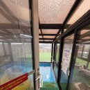 어메이징 키즈펜션 | 안산 대부도 어메이징키즈펜션 후기 - 실내수영장, 키즈풀빌라, 가족모임 숙소