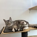 하랑민박 이미지