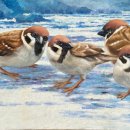 W미술관 이미지