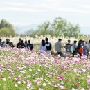 김대중컨벤션센터 관광안내소 이미지