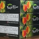 달빛농원 이미지