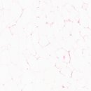 애니펫동물병원 이미지