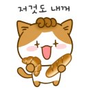 아모르몰