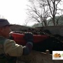 새순1농장 이미지