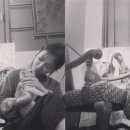 달달한 고양이 이미지