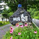 평창자연속쉼표 이미지