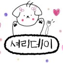 롯데마트 앞 | 산곡역 회전초밥 맛집 스시이안앤 롯데마트 부평점 후기