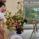 전혜빈 카카오 검색결과