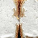 강서정보 이미지