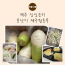 무 | 제주무 추천 - 달큰함이 다른 제주월동무, 가성비까지 잡은 못난이무 솔직후기 (제주싱싱송키)