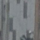 다온프라임 네이버블로그