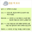 솔비쥬