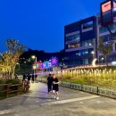 은계호수공원(옥외1) | 시흥 은계호수공원 나들이 후기, 여름밤 산책과 치맥 즐기기 좋은 데이트 명소