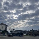 철수농장 | [대만/타이페이] 타이중에서 타이페이근교 카피바라농장을 찾아서 난강역으로! 난강역 우육면 맛집