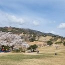 세천강변 이미지