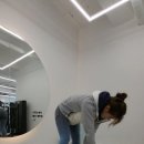 더팔페이션