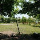 솔밭공원 농구장 이미지