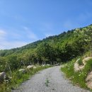캠프 그라운드 화온, 충남 아산 캠핑장 솔직 후기