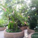 안산 식물원 이미지