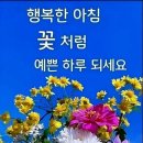 오늘. 한끼 이미지