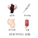의학과한방(동영상):만성 C형 간염 (Chronic Hepatitis C) 이미지