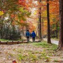 반포천 | [공지] 반포천 피천득산책로 가을풍경 [사진후기]