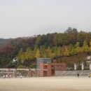 숲해설체험 이미지