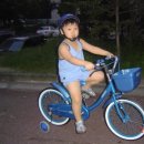 호성자전거 이미지