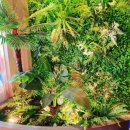 해루질 이천본점 이미지