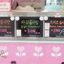 앤디캔디솜사탕