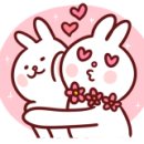 금비펫살롱 이미지